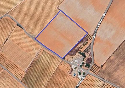 Land in Yecla