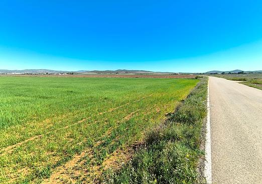 Land in Yecla