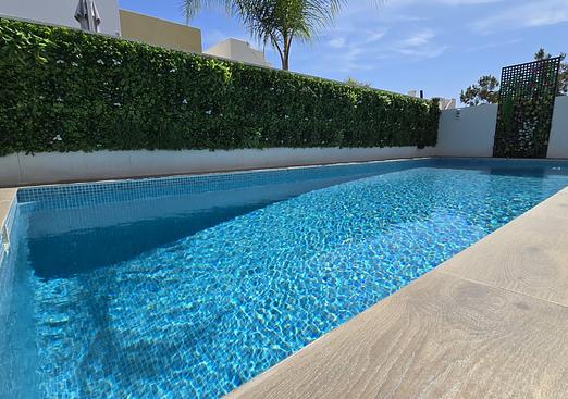 Villa in Los Montesinos
