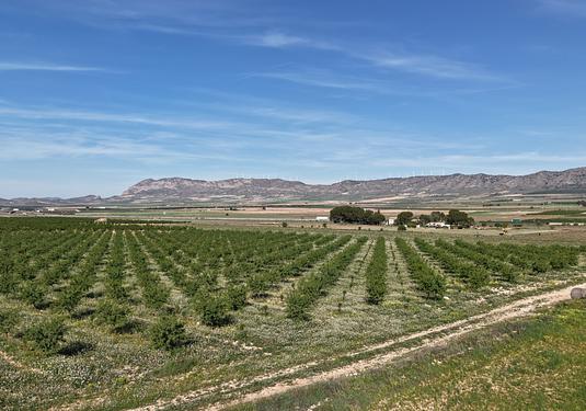 Land in Yecla