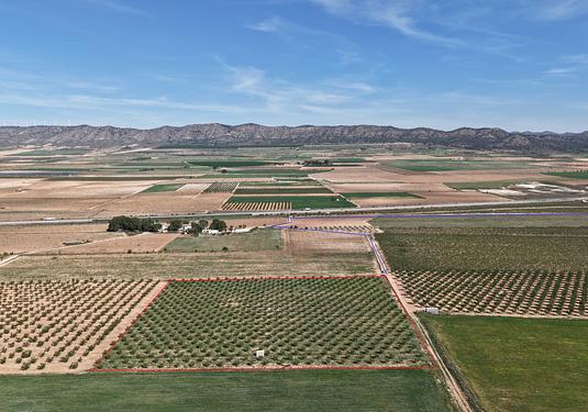 Land in Yecla