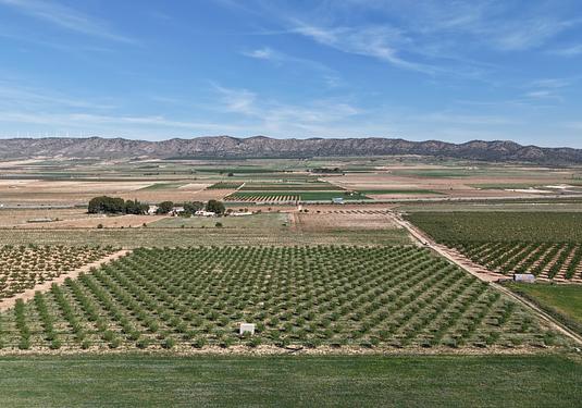 Land in Yecla