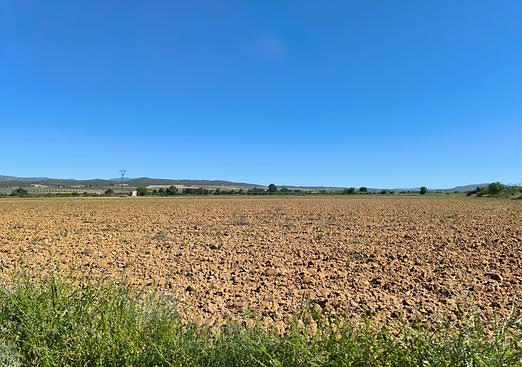 Land in Yecla