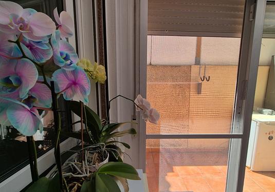 Town house in Torrevieja