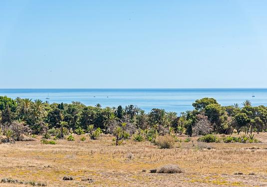 Apartment in Torrevieja