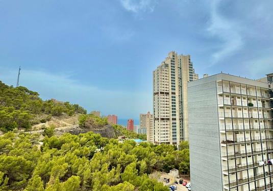 Apartment in Benidorm