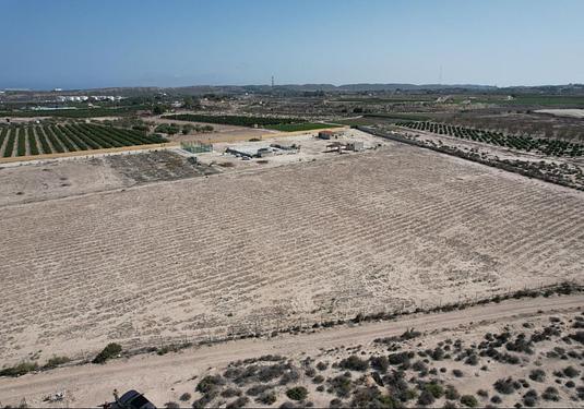 Land in Alicante