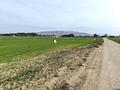 Land in Villena