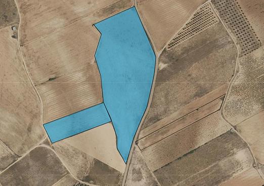 Land in Yecla
