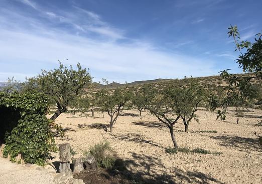 Finca in Lorca