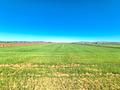 Land in Yecla