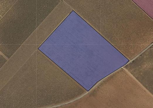 Land in Yecla