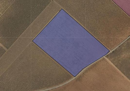 Land in Yecla