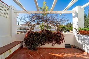 thumb 24