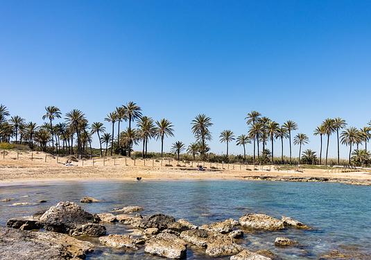Bungalow in Torrevieja