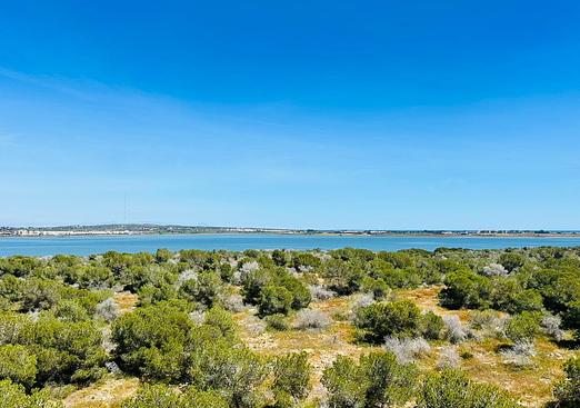 Apartment in Torrevieja