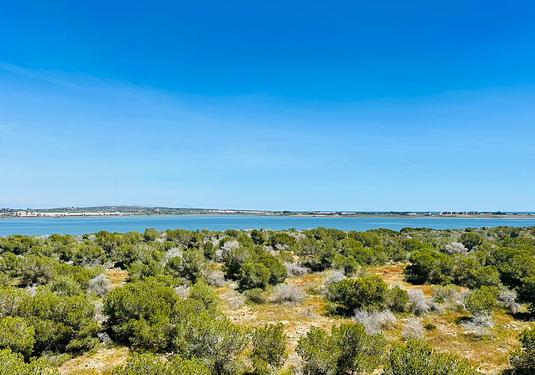 Apartment in Torrevieja