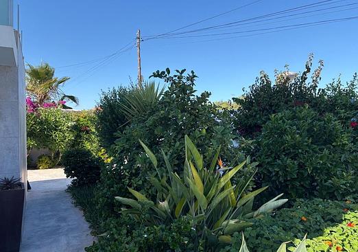 Villa in Torrevieja