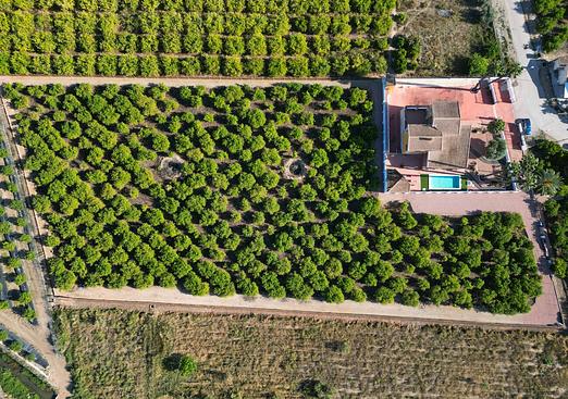 Finca in Vistabella Golf Entre Naranjos