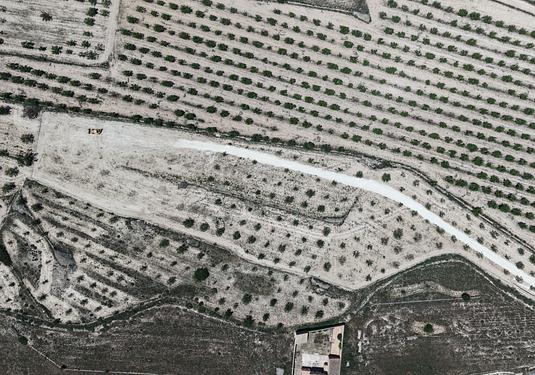 Land in Pinoso