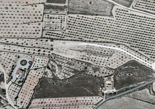 Land in Pinoso