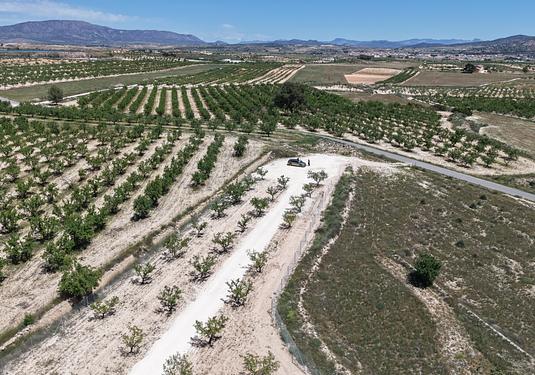 Land in Pinoso