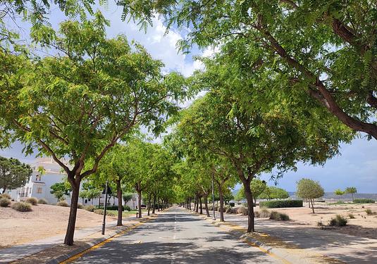 Apartment in Hacienda Riquelme Golf Resort