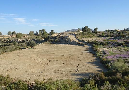 Land in Abanilla