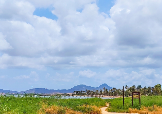 Land in Los Urrutias