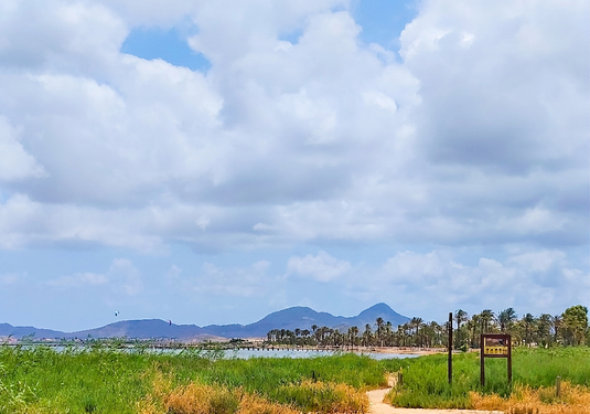 Land in Los Urrutias