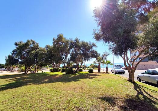 Apartment in La Mata