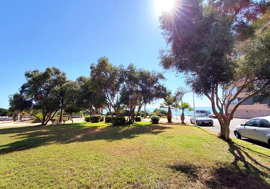 Apartment in Torrevieja