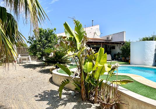 Villa in Daya Nueva