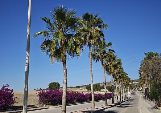Villa in Algorfa