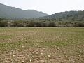 Land in Yecla