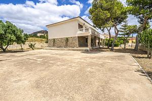 thumb 13