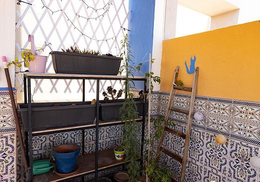 Apartment in Torrevieja