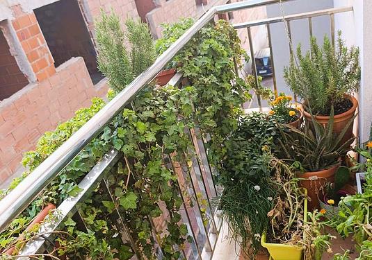 Apartment in La Union