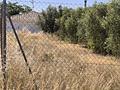 Land in Caudete