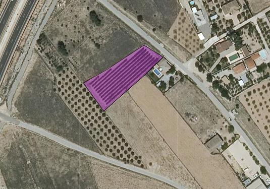 Land in Caudete
