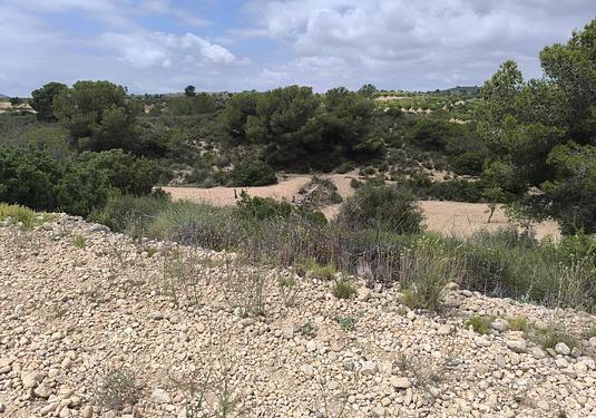 Land in Pinoso