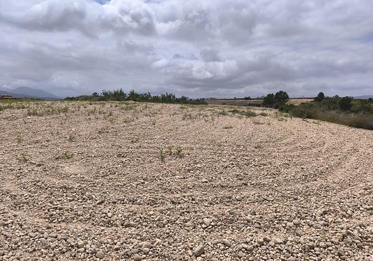 Land in Pinoso
