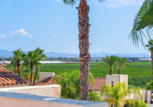 Apartment in San Javier