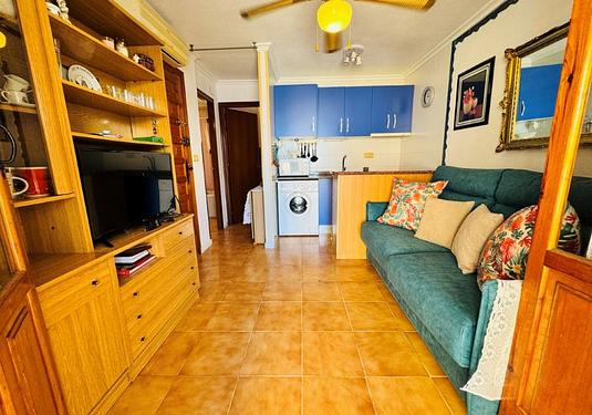 Apartment in La Mata