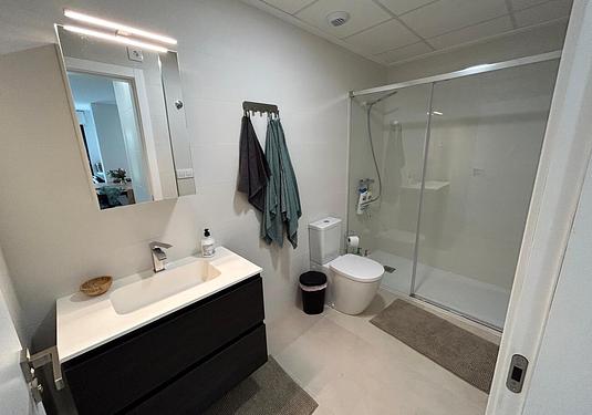 Apartment in Pilar de La Horadada
