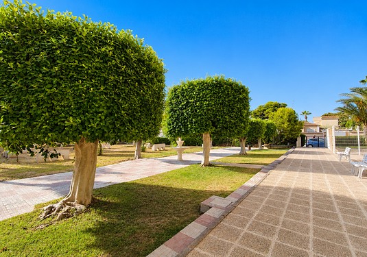 Apartment in La Zenia