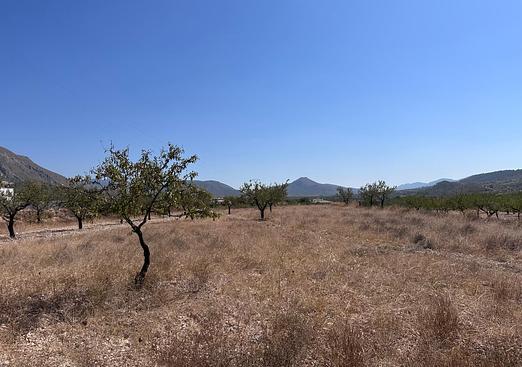 Land in Macisvenda