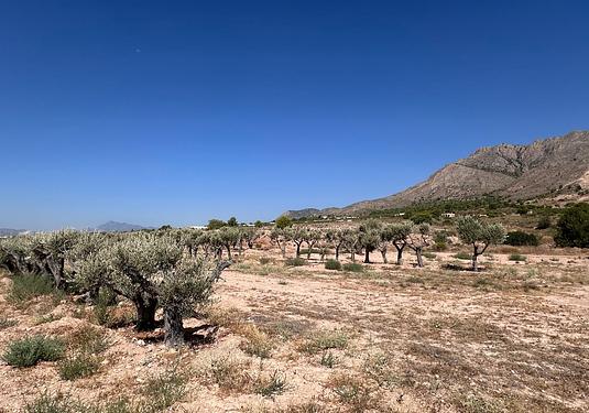 Land in Macisvenda