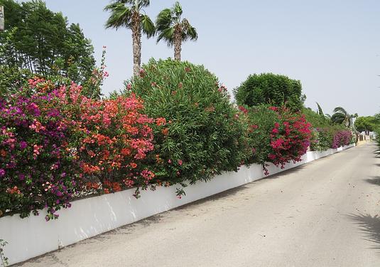Country house in Dolores