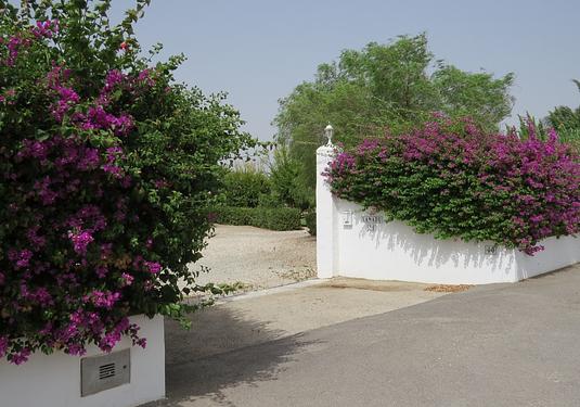 Country house in Dolores